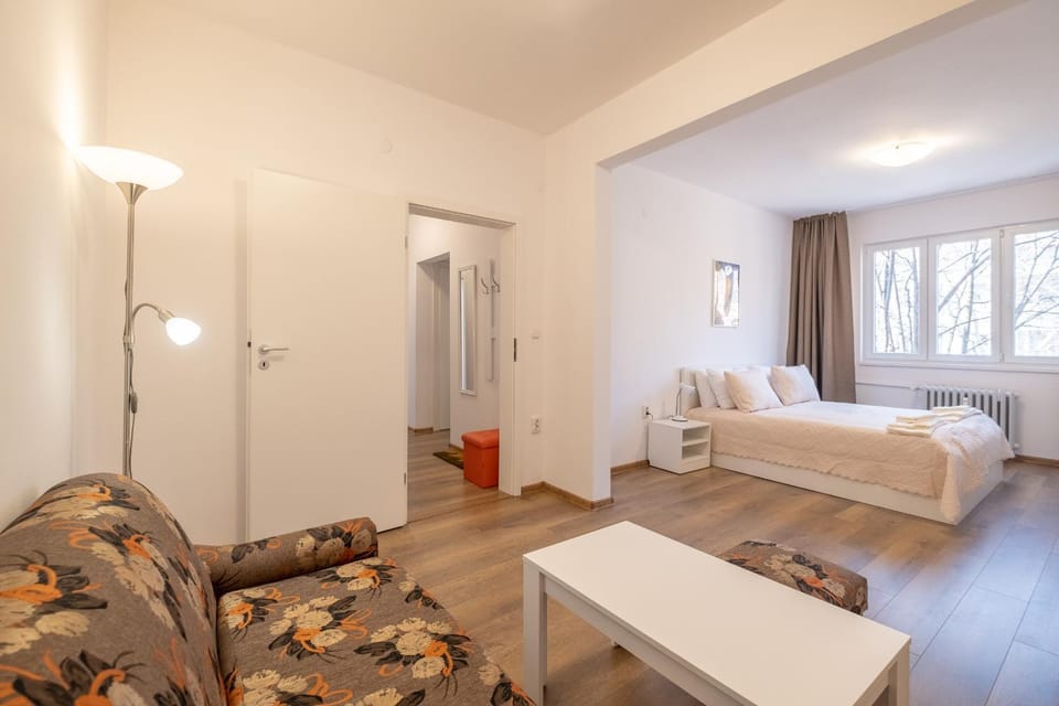 Bed, Living room, Photo of the whole room, Seating area, Bedroom