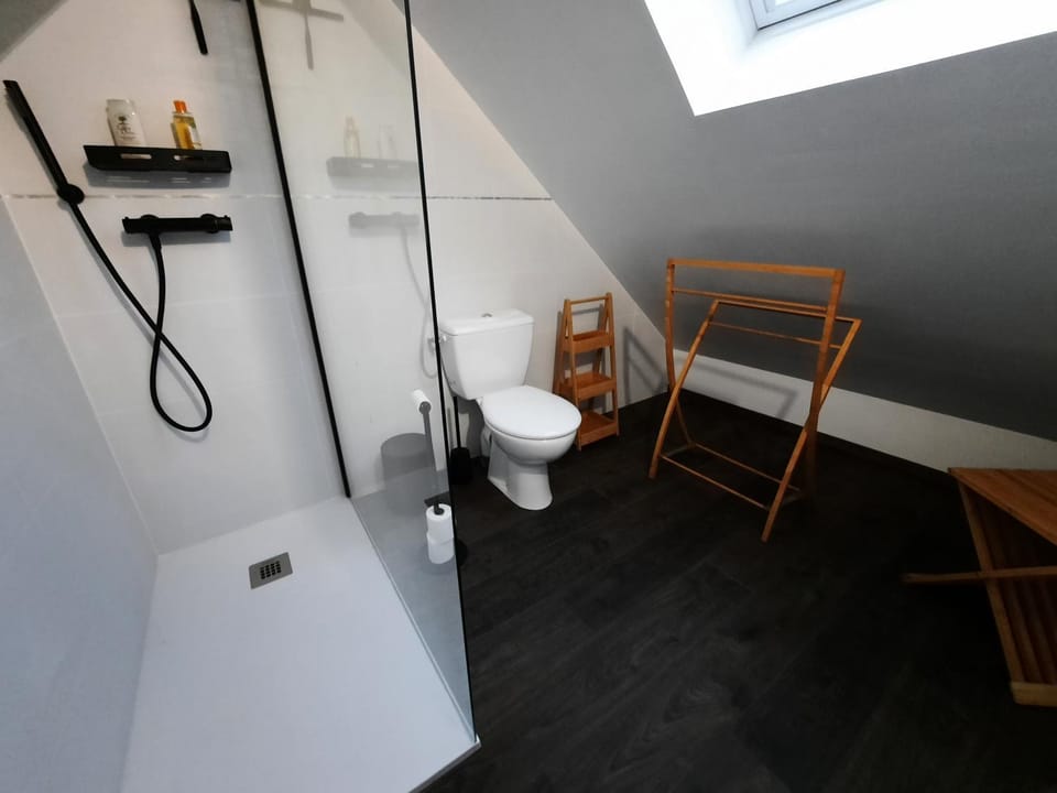 Shower, Toilet, Bathroom