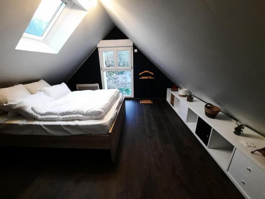 Bed, Photo of the whole room, Bedroom