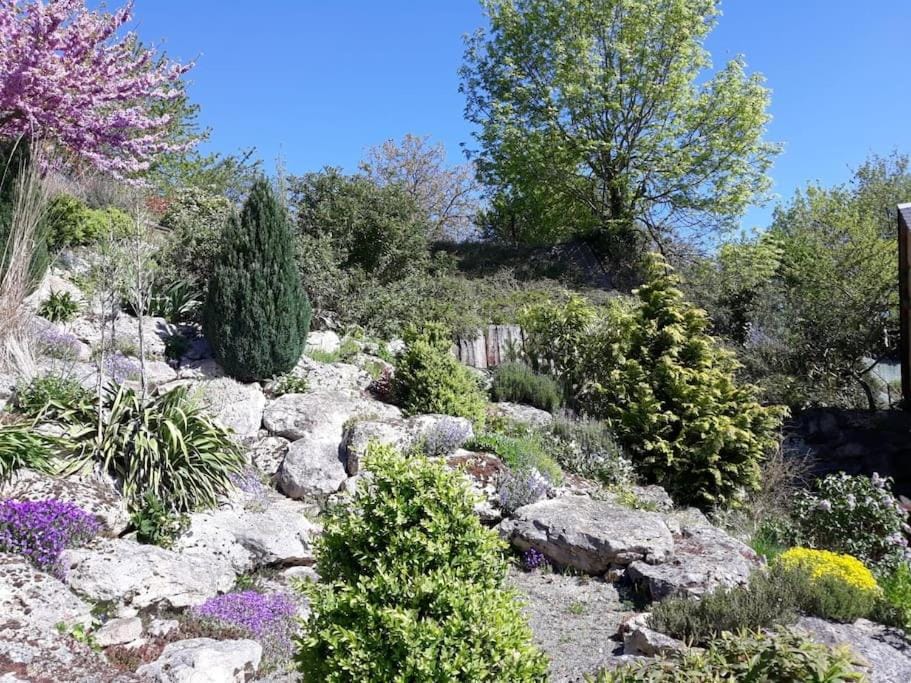 Garden, Garden view