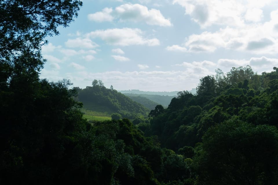 Nearby landmark, Natural landscape, View (from property/room), Landmark view, Mountain view