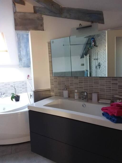 Appartamento romantico indipendente Apartment in Piedmont