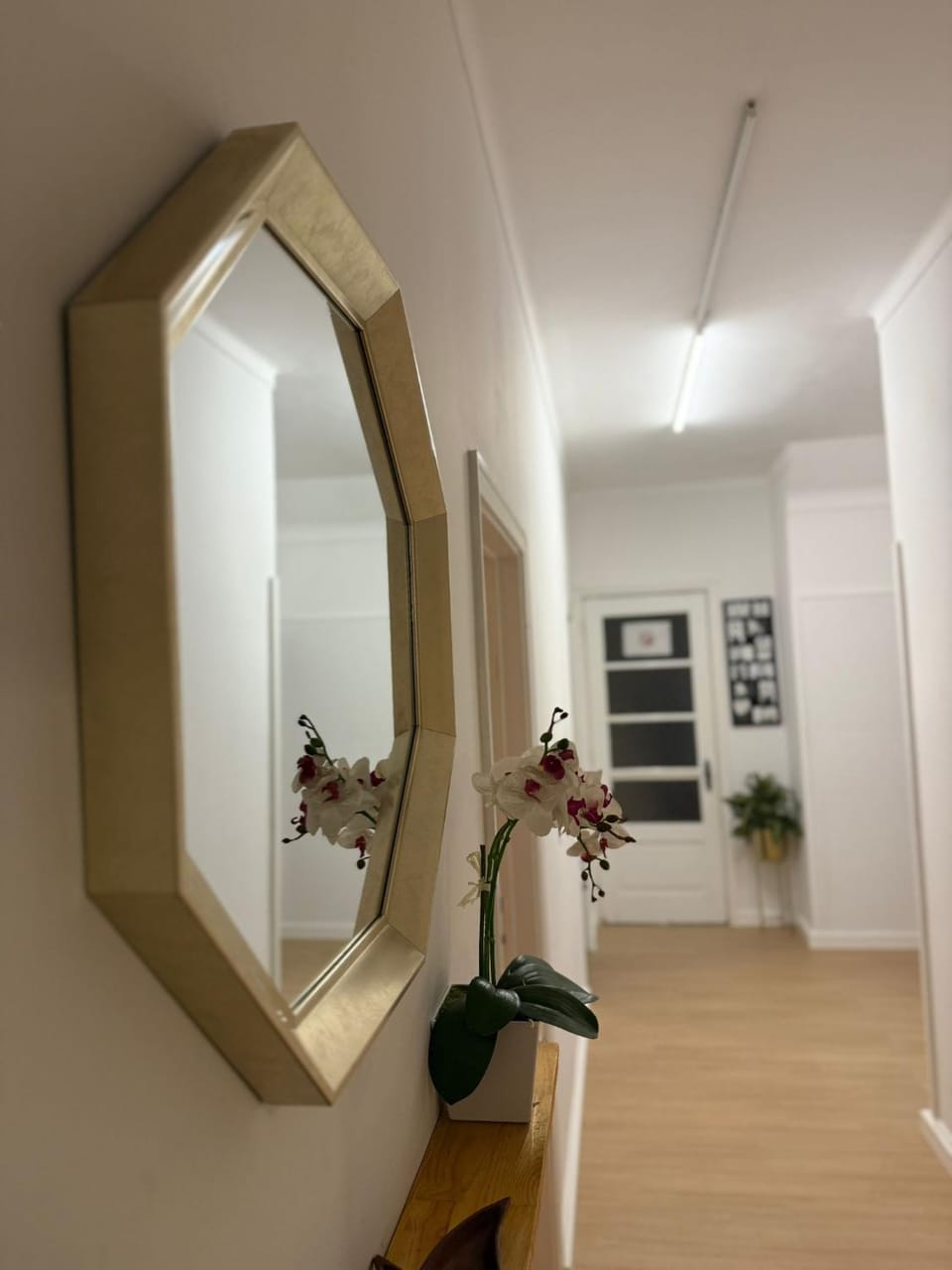 Self-Check in Sunny & Charming Apt Apartment in Coimbra