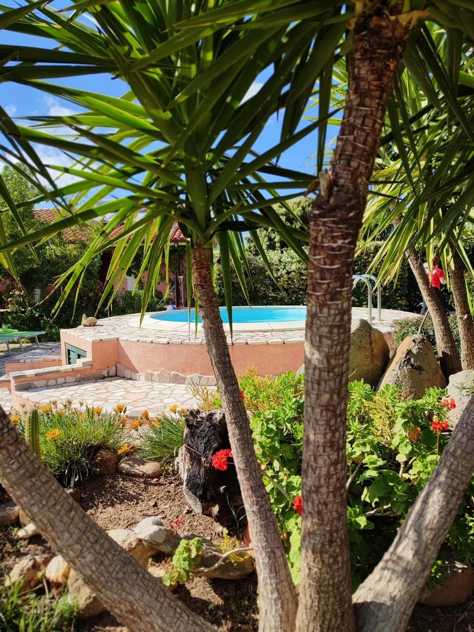 Pool view, Swimming pool