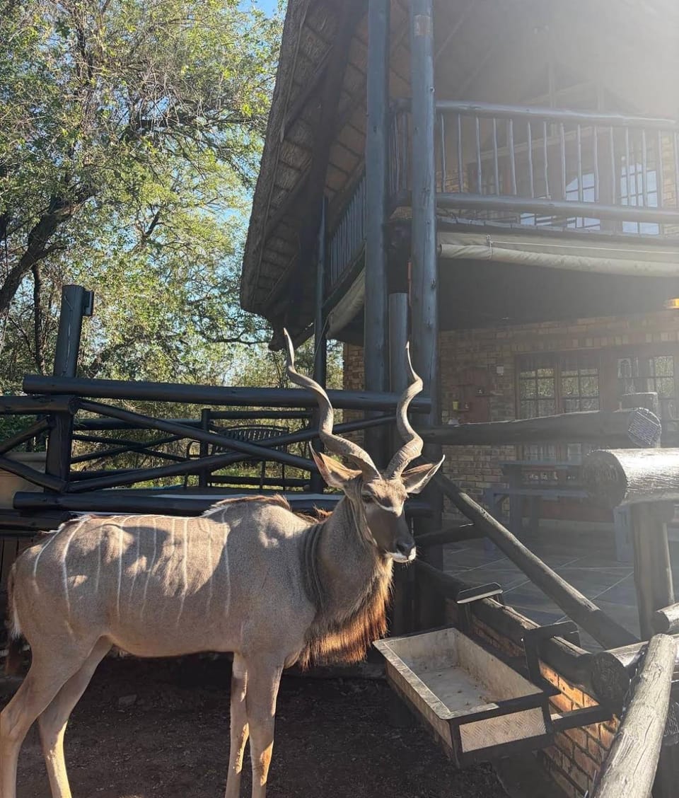 Inyathi Inn House in South Africa