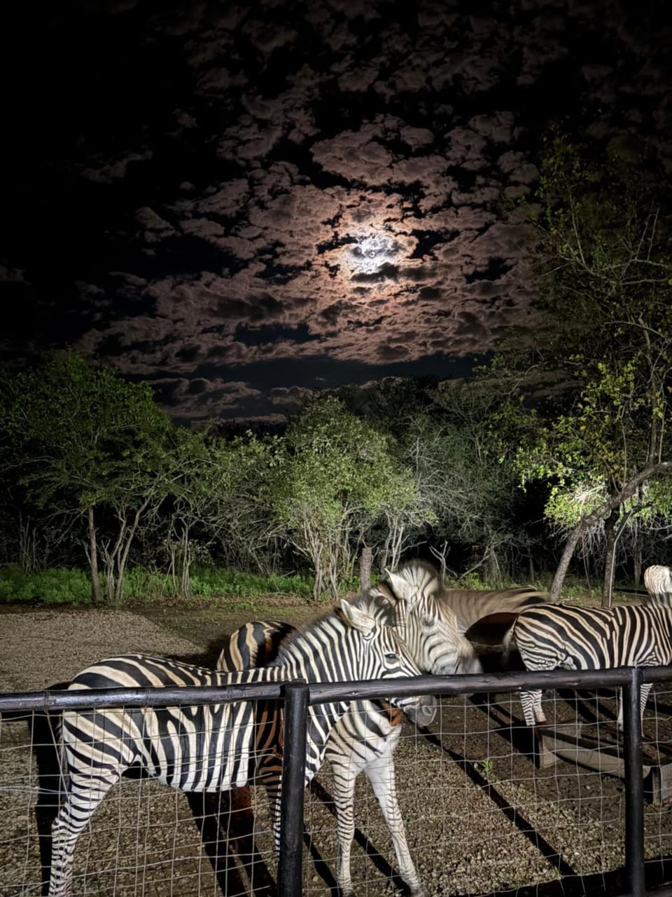 Inyathi Inn House in South Africa