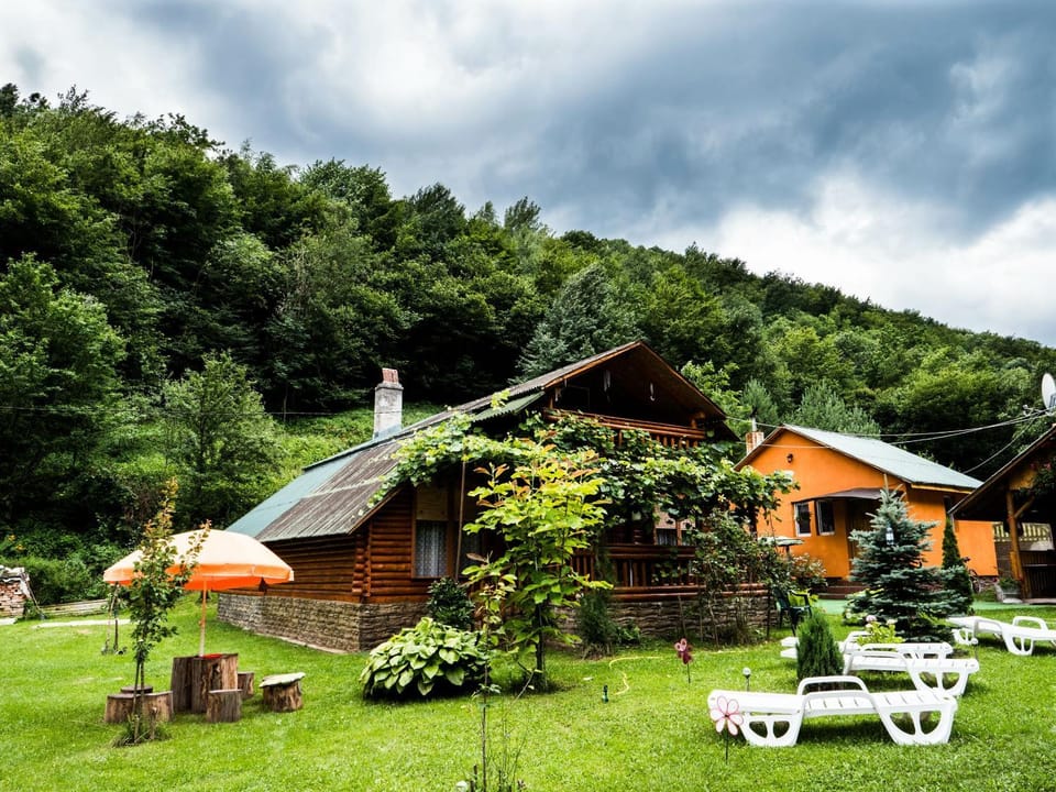 Vila Sara House in Romania