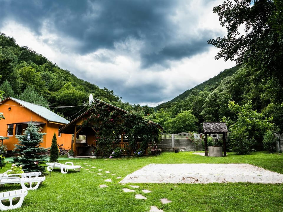 Vila Sara House in Romania