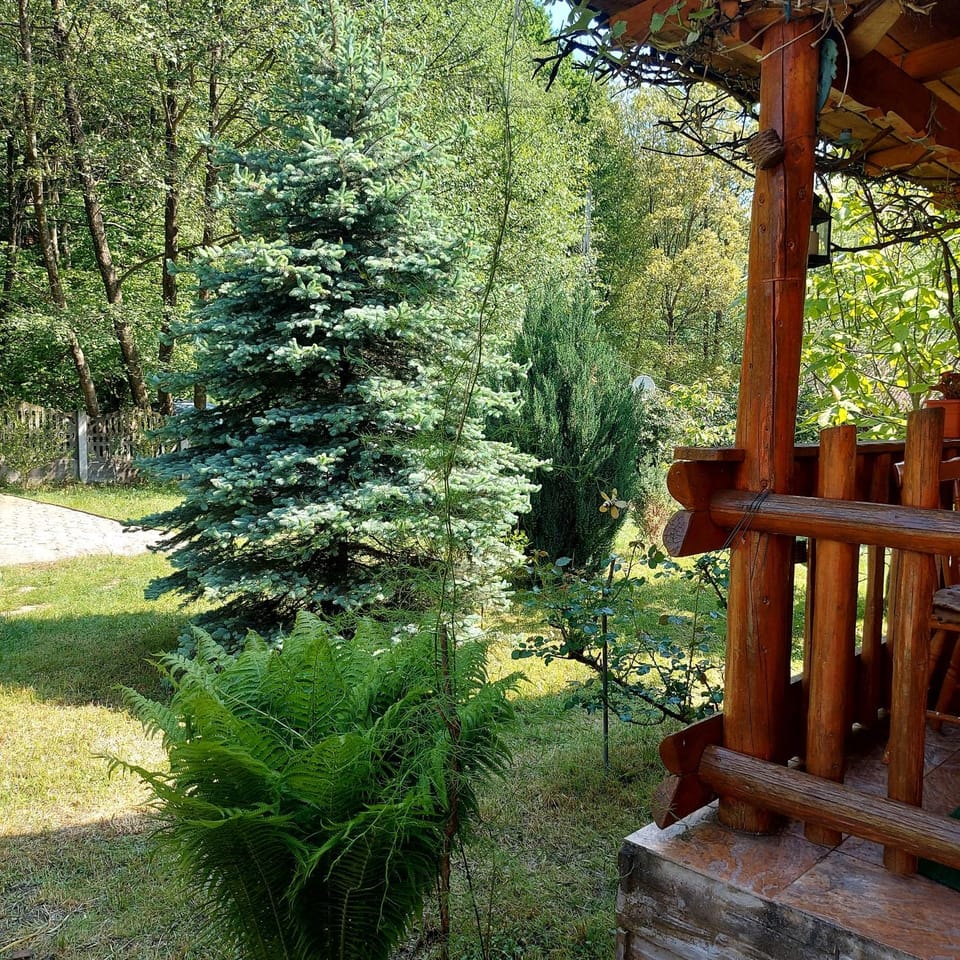 Vila Sara House in Romania