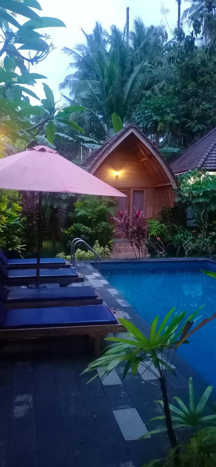 Garden view