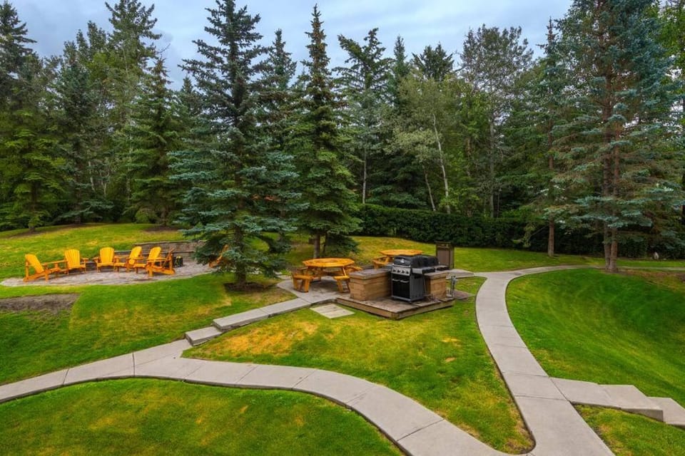 Spring, Day, Natural landscape, Garden, Garden view
