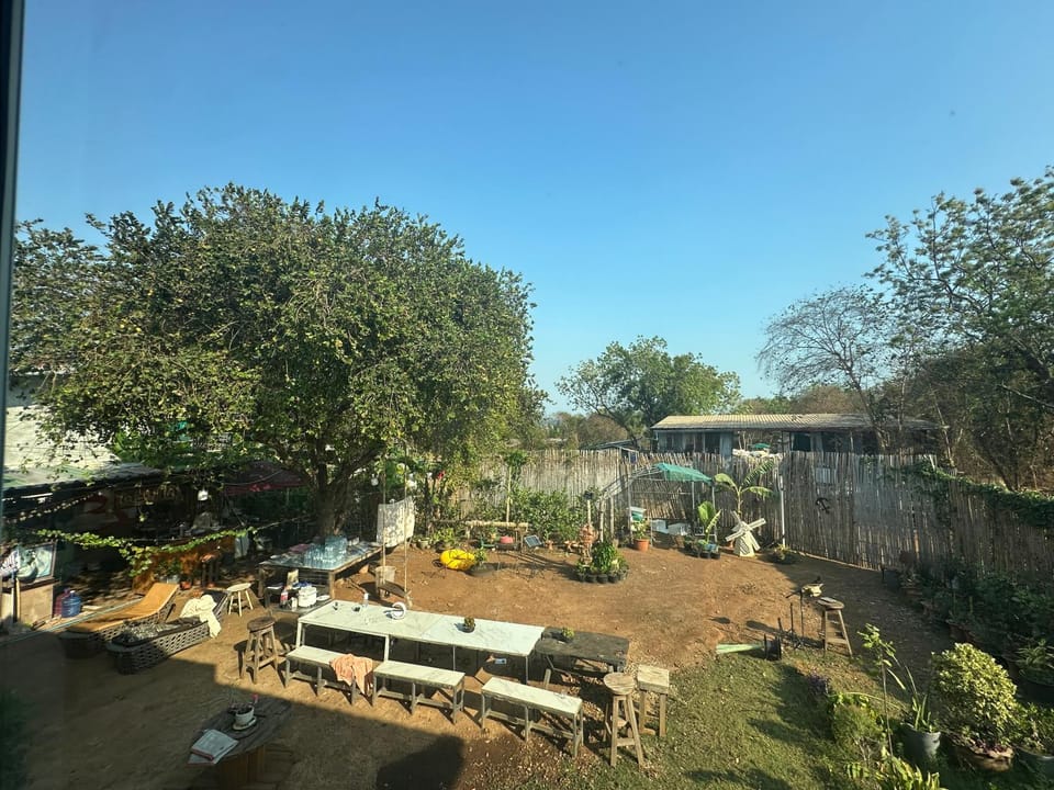 Garden view