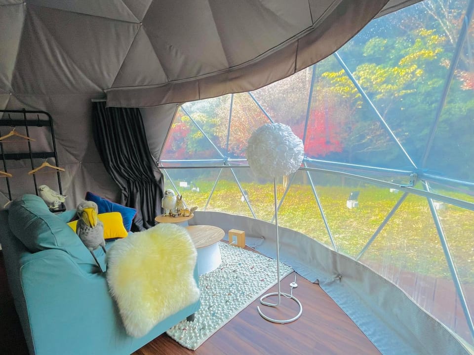 Living room, Photo of the whole room, Bedroom