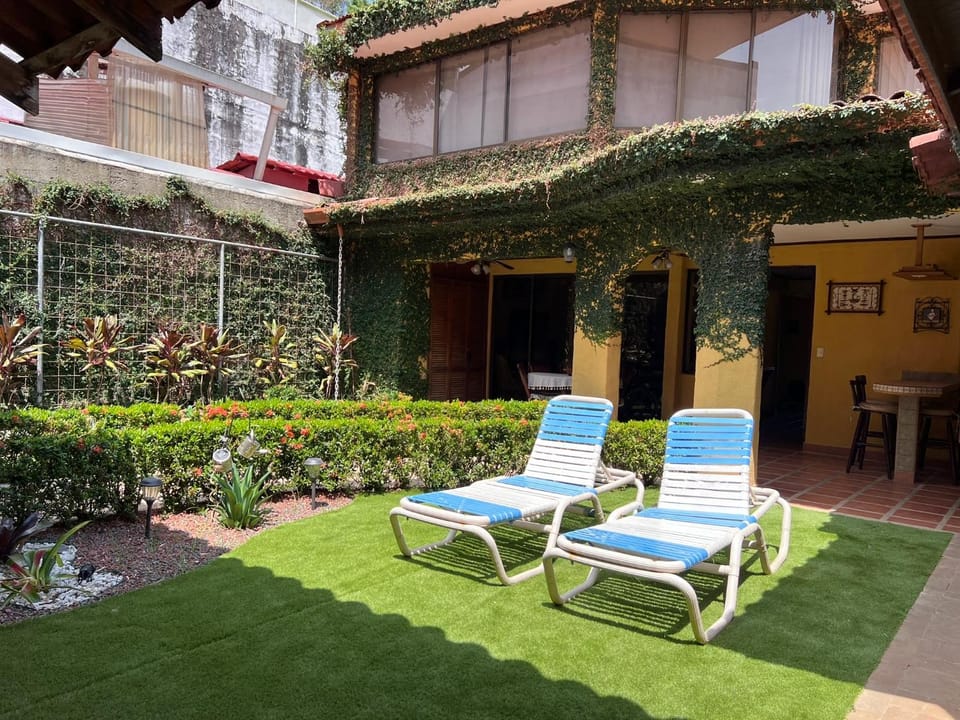 Patio, Garden, Garden view