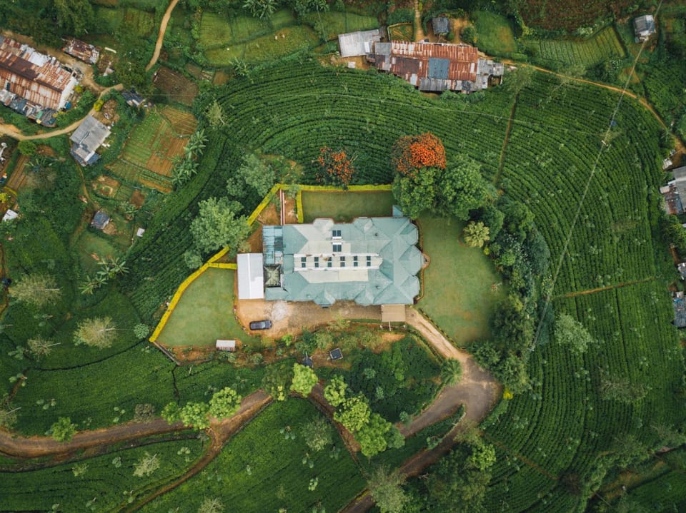 Property building, Day, Natural landscape, Bird's eye view, Garden, Garden, Garden view