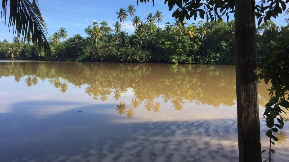 River view