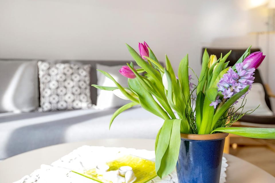 Ferienwohnung Kappeln - Kiekut 11 Apartment in Kappeln