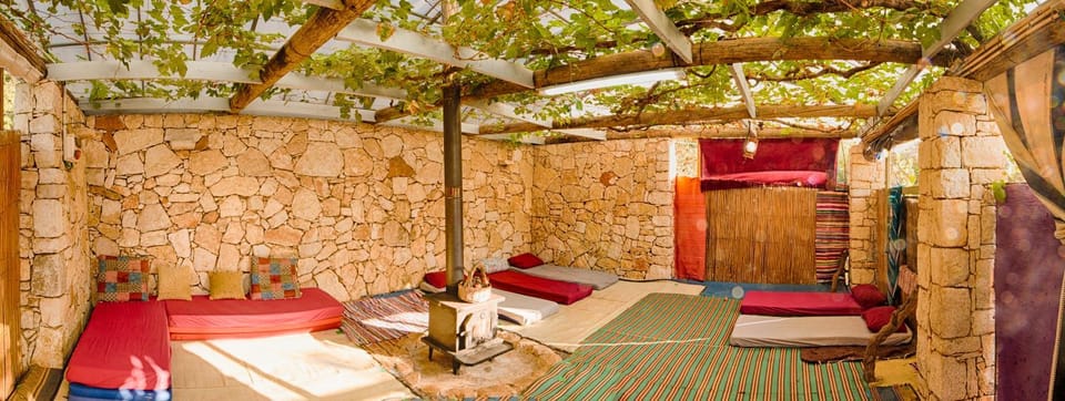 Summer, BBQ facilities, Library, Communal kitchen, Family