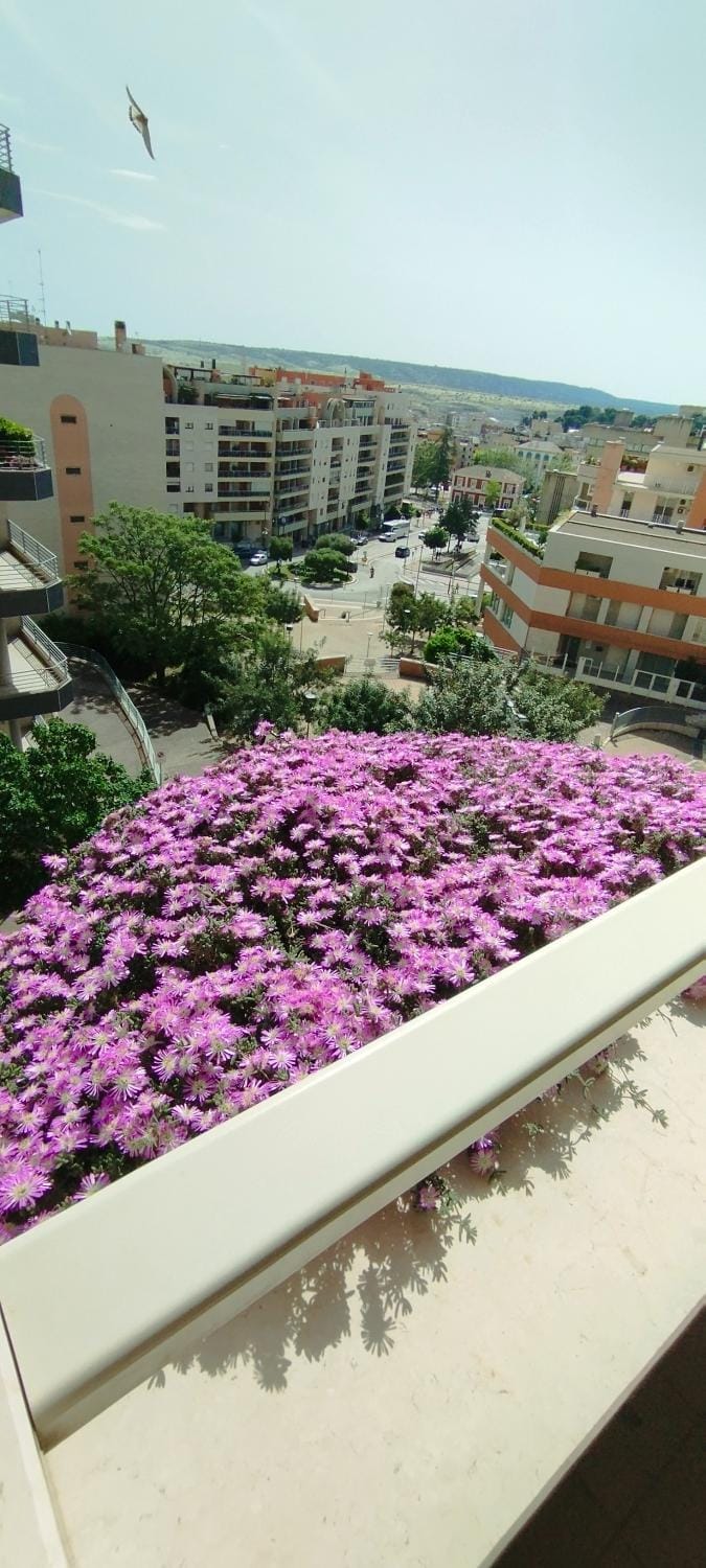 Property building, Spring, Day, Bird's eye view, View (from property/room), Balcony/Terrace, City view