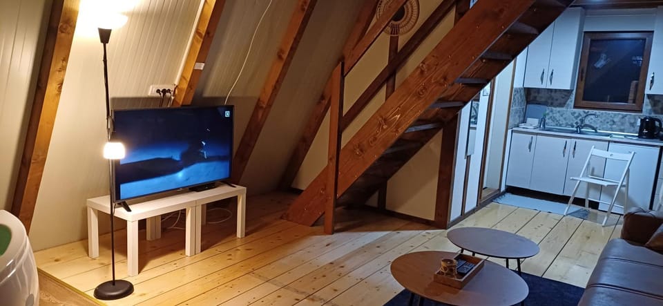 Vip Villa Jagodina - Jakuzzi is free - Private parking is free - Beautiful view of nature House in Serbia