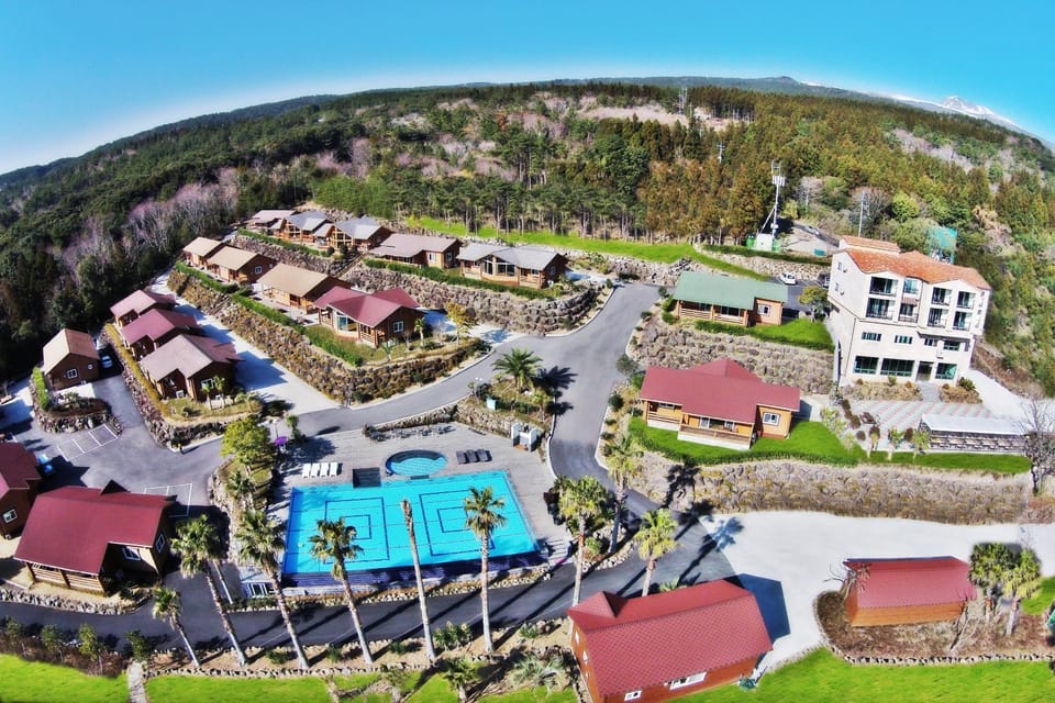 Day, Bird's eye view, Bird's eye view, Pool view, Sea view
