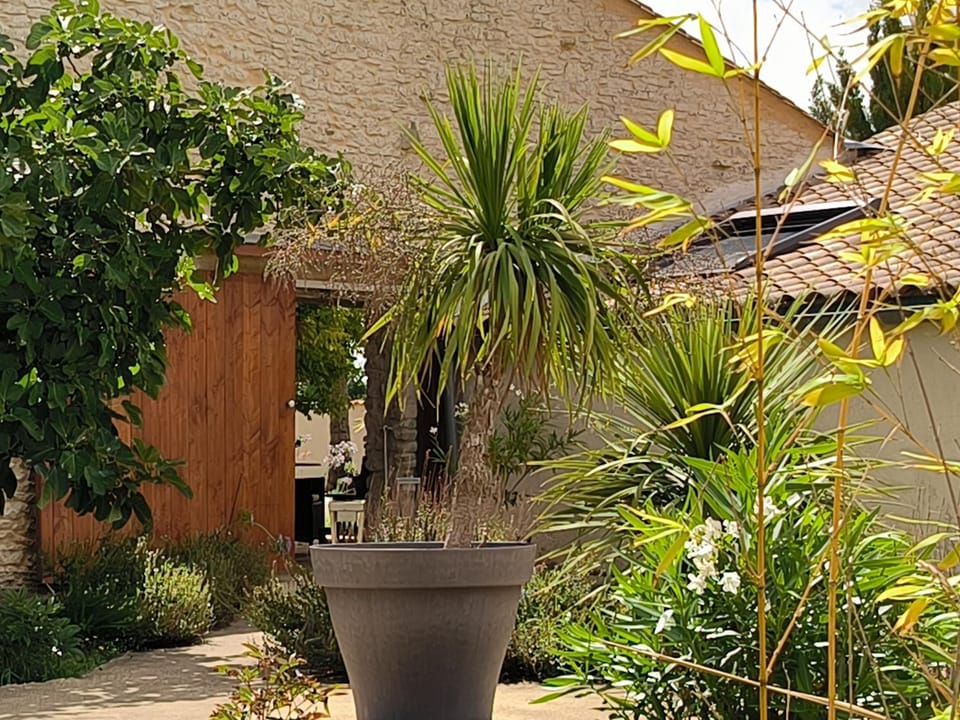 Spring, Garden view
