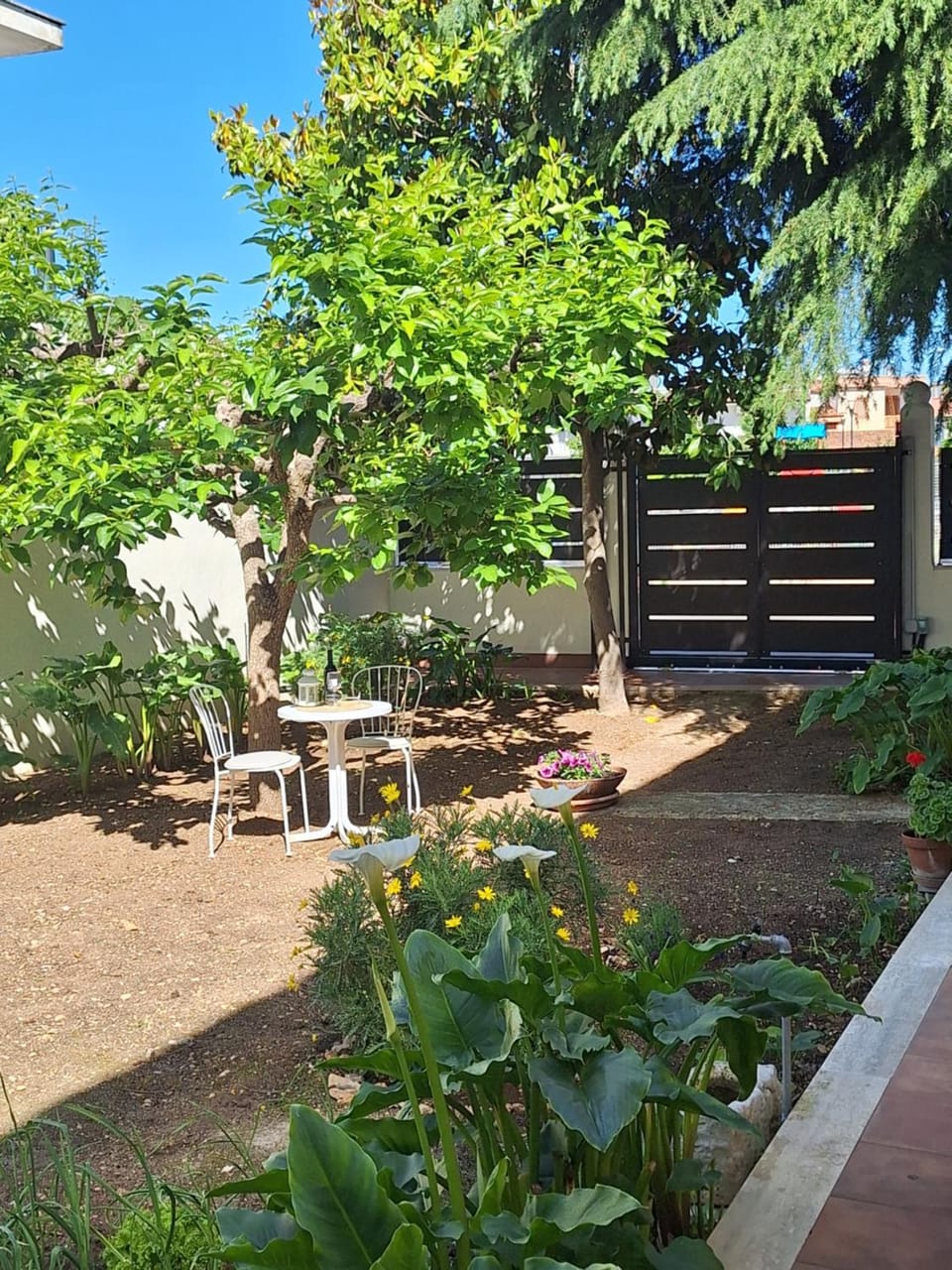 Garden, Garden, Garden view