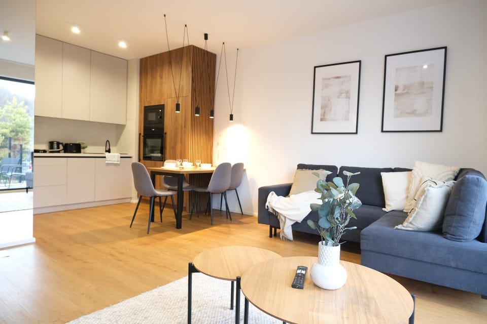 TV and multimedia, Kitchen or kitchenette, Living room, Seating area, Family