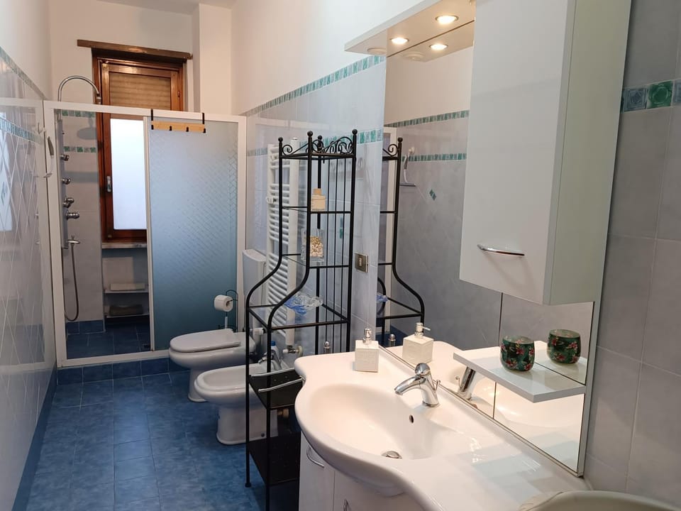 Shower, Toilet, Bathroom, towels