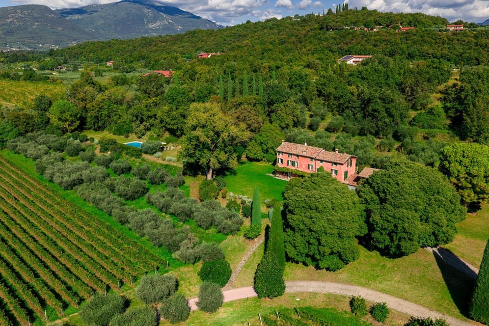 Property building, Bird's eye view, Garden, Garden view