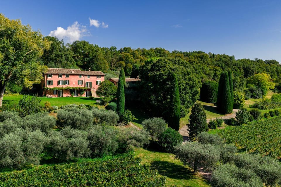 Property building, Garden, Garden view