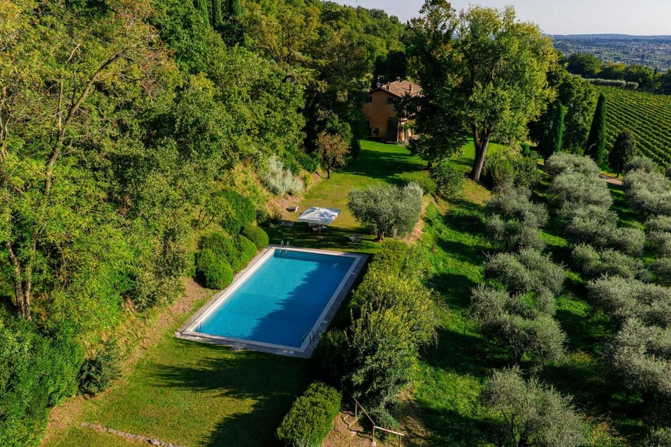 Garden, Pool view, Swimming pool