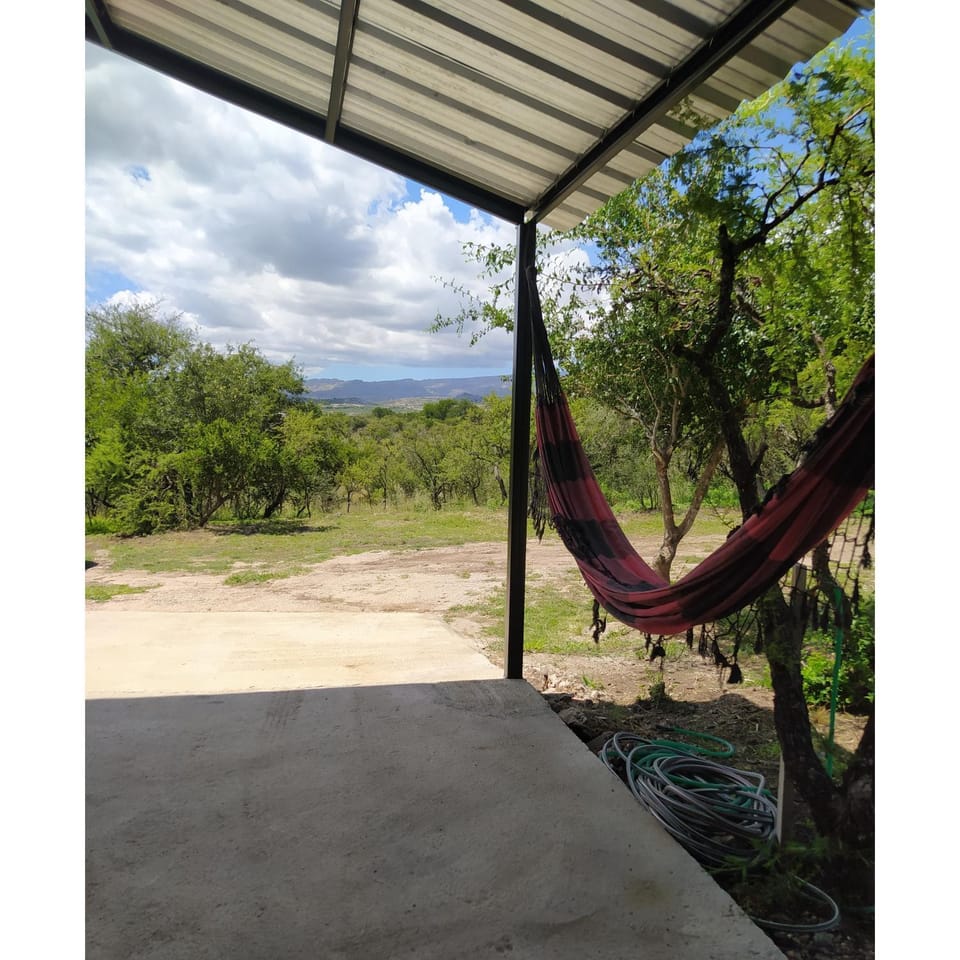 Garden, Mountain view
