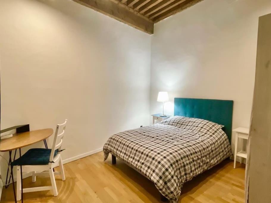 Petit Marin Hyper centre Apartment in Lyon