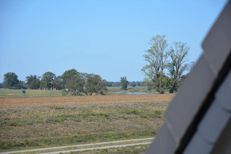 Day, Natural landscape, View (from property/room)