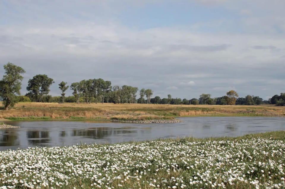Day, Natural landscape, River view