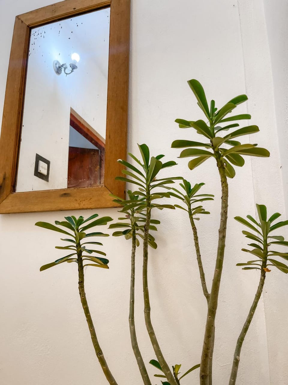 Decorative detail