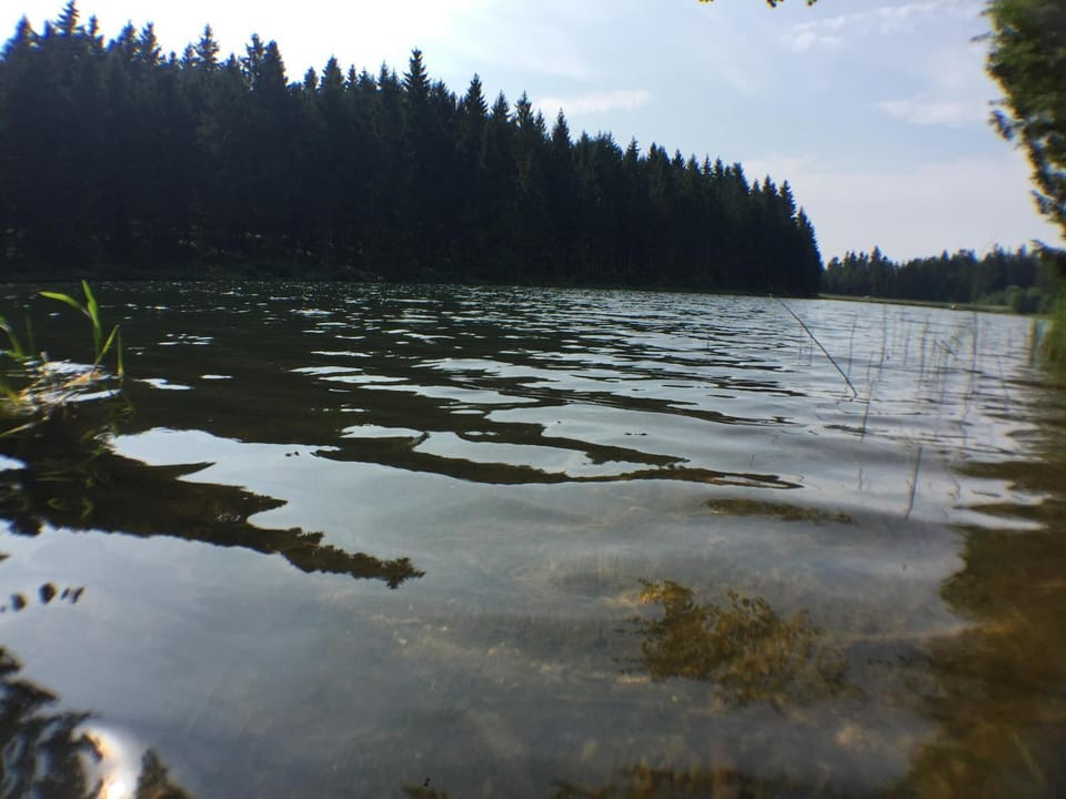 Natural landscape
