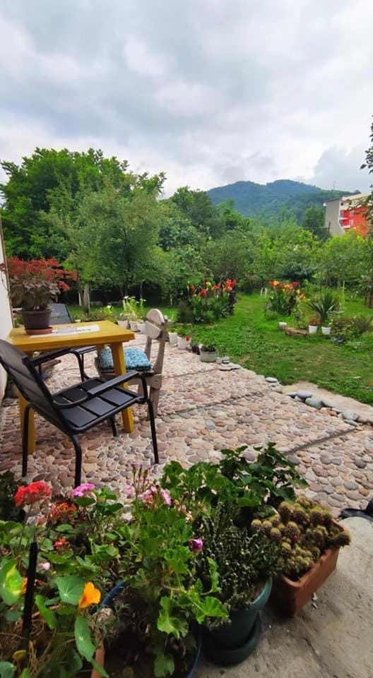 Patio, Natural landscape, Garden, Garden view, Mountain view