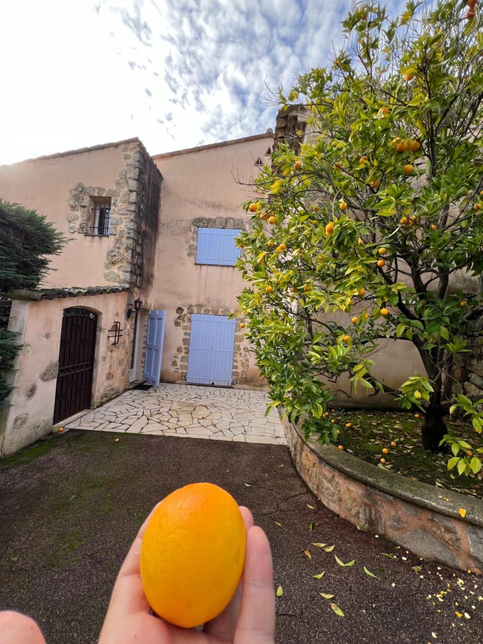 Property building, Garden, Garden view