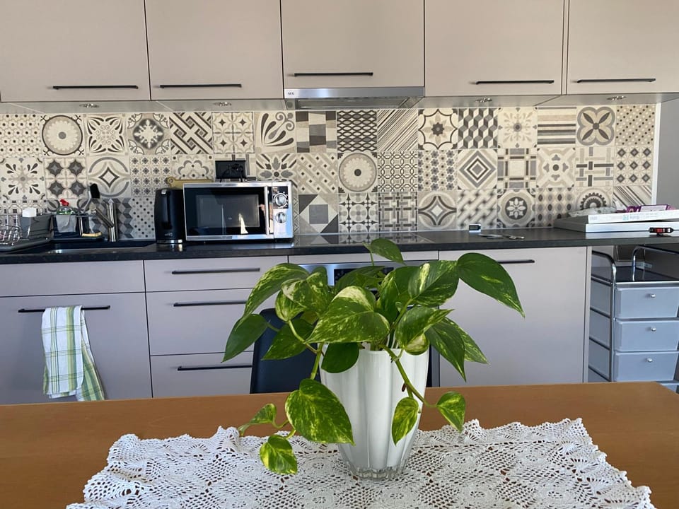 Kitchen or kitchenette, minibar, stove