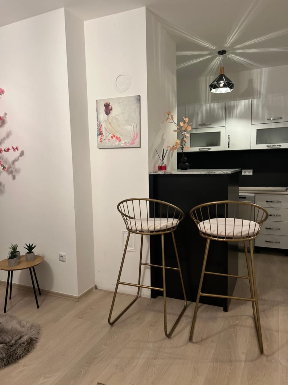 Tea Modern Apartament Apartment in Serbia