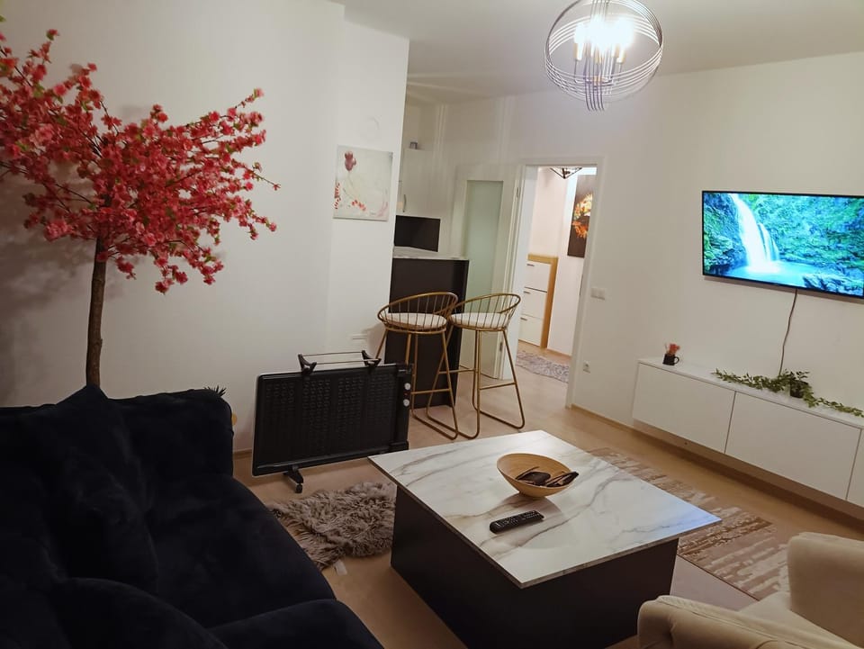 Tea Modern Apartament Apartment in Serbia