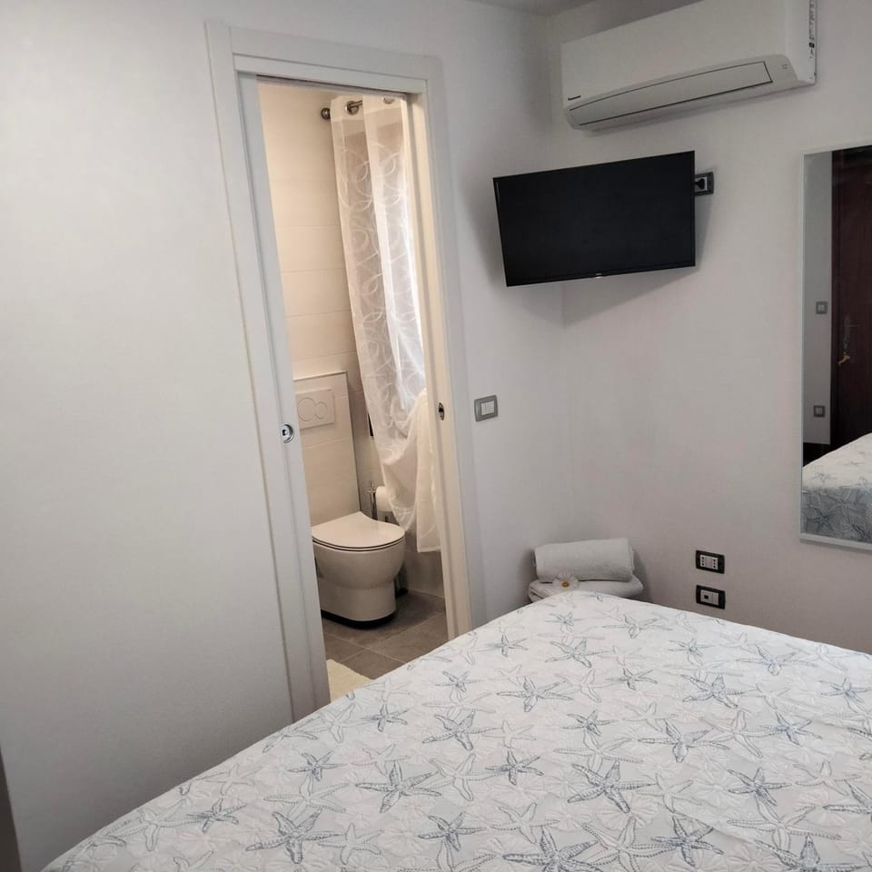 Toilet, TV and multimedia, towels, air conditioner