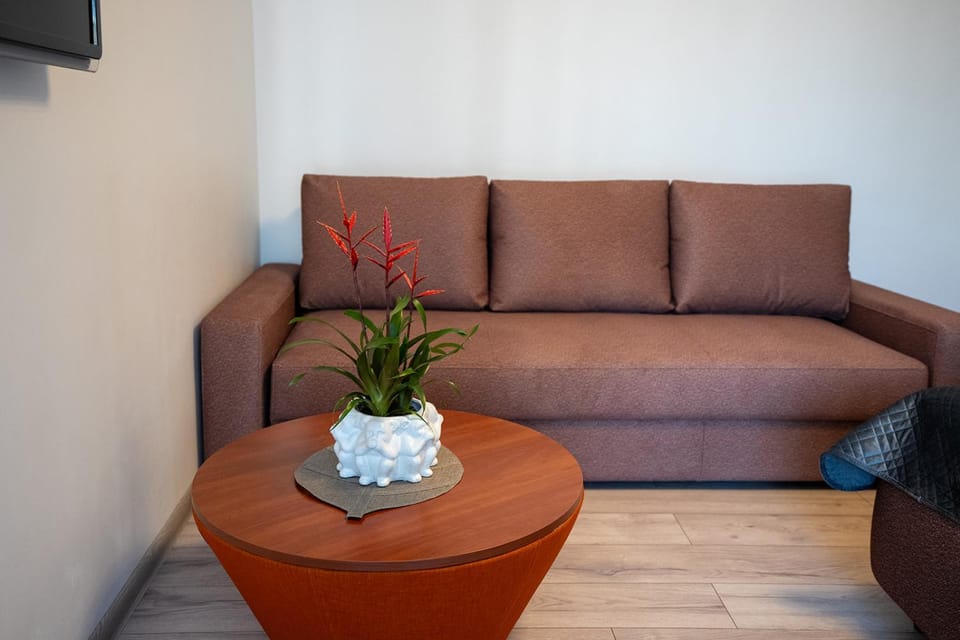 Loft apartment Apartment in Lithuania