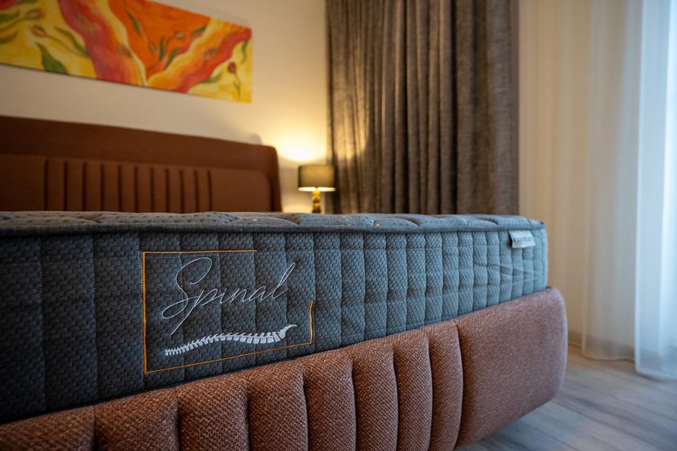 Loft apartment Apartment in Lithuania