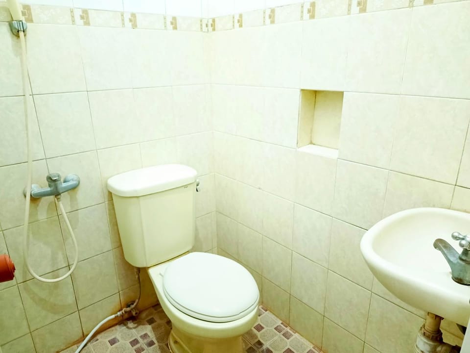 Shower, Toilet, Bathroom, bidet
