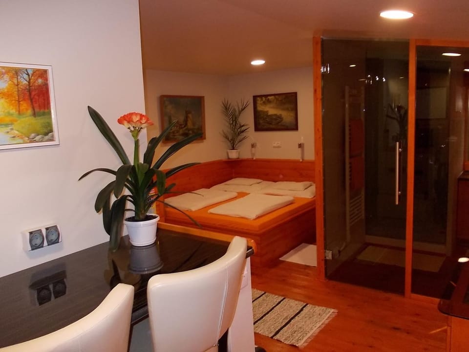 Maxilux Studio Apartment in Hungary