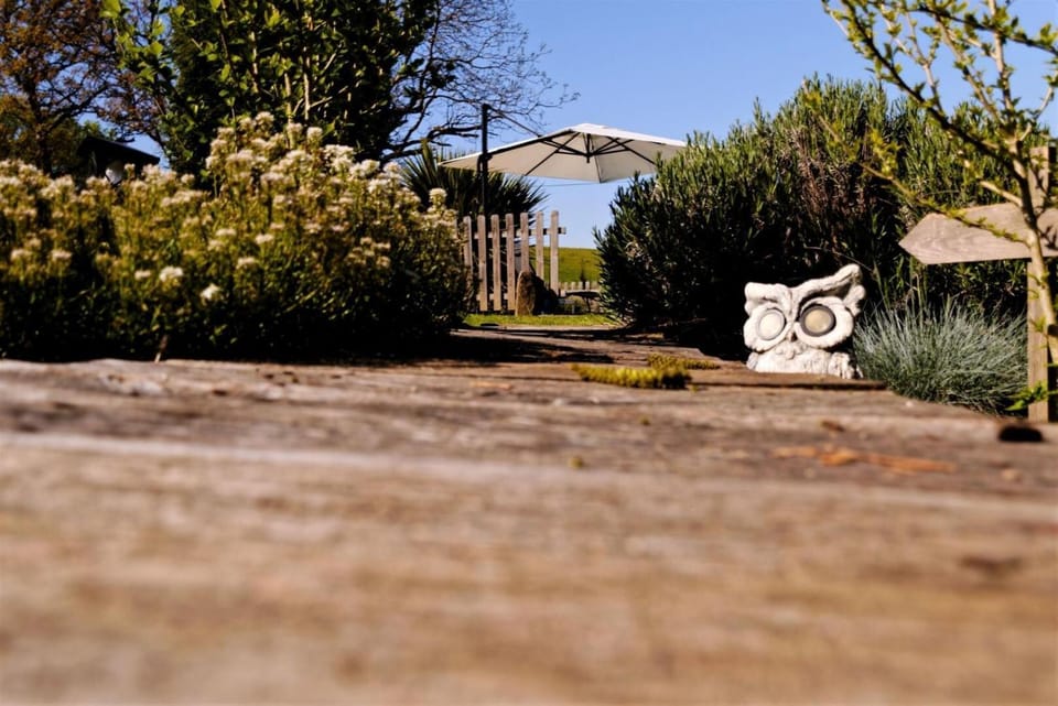 Gîte de France Les figuiers 3 épis - Gîte de France 4 personnes MAE-6544 Apartment in Nouvelle-Aquitaine