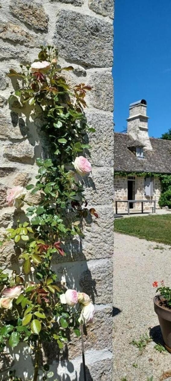 Gîte de France Les 7 sources 3 épis - Gîte de France 4 personnes MAE-9154 Apartment in Occitanie